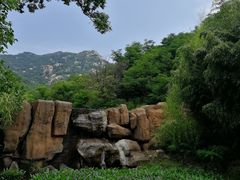 -鲁山国家森林公园