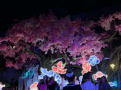 -三亚海昌梦幻海洋不夜城