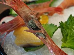 -極上萬膳·日料放题(来福士江景店)