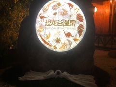 -常州环球恐龙城维景国际大酒店