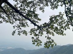-香山公园