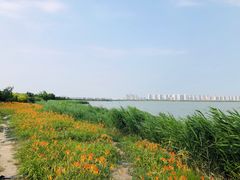 -天津东丽湖风景区