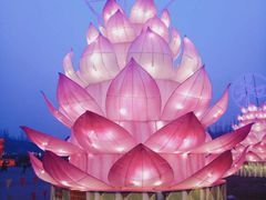 -秀丽东方
