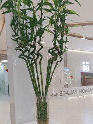 -FASHION PALACE hair+