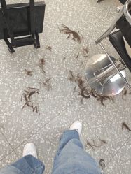 -HD HAIR STYLE