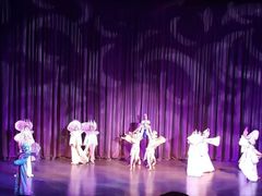 -金东尼人妖秀