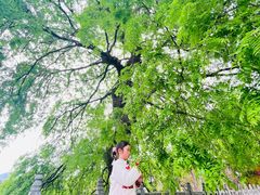 -报恩寺(平武县)