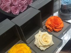 -ROSEONLY诺誓(磐基中心店)