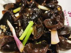 -陶然居·重庆菜(两江会馆店)