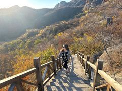 -大岭沟猕猴桃谷风景区