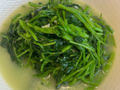 -大鸽饭(马王堆店)