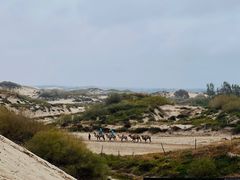 -库伦旗银沙湾旅游景区