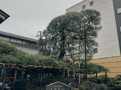 -中村藤吉(本店)