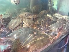-天天渔港海鲜酒家(石浦玉泉路店)