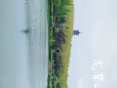 -宜兴龙背山森林公园