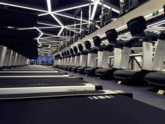 -金吉鸟健身游泳