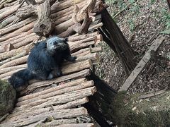 -普洱太阳河森林公园