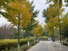 -东升八家郊野公园