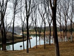 -大兴滨河森林公园