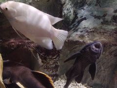 -太平洋海底世界