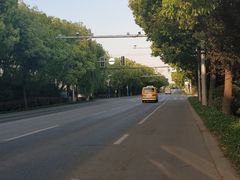 -上海佘山国家森林公园天马山园