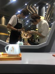 点击看大图 -和良形象