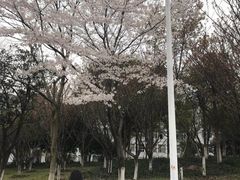 -杭州师范大学(下沙校区)