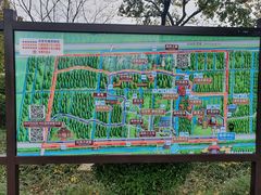 -黄海国家森林公园