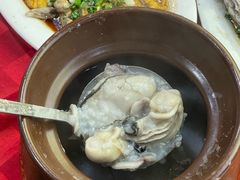 -先鲜鲫鱼粥