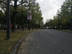 -秋霞圃
