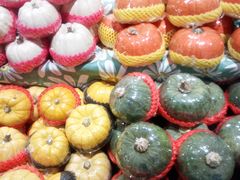 -哈尔信阳光农园超市(沈阳三台子万象汇店)