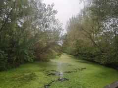 -溱湖国家湿地公园