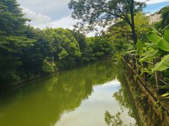 -晓港公园