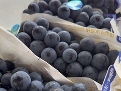 -马陆小张葡萄园农家乐