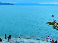 -长兴太湖图影湿地文化园