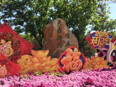 -天适樱花悠乐园