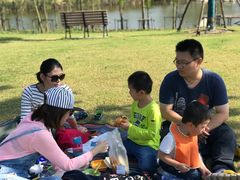 -上海长兴岛郊野公园