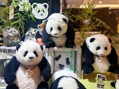 -轩客会(熊猫书店)