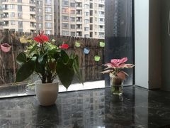 -青山上品咖啡·日式法兰绒手冲(高岛屋百货店)