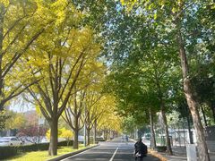 -伊隆斋(什刹海店)