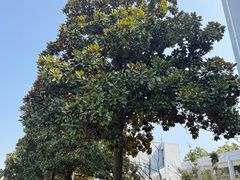 -南京信息职业技术学院