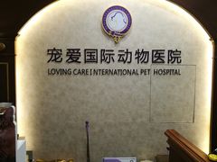 -宠爱国际动物医院· 猫科· 外科·中兽医(长白店)
