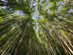 -井空里大峡谷