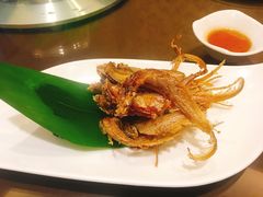 -宝燕壹号(徐汇店)