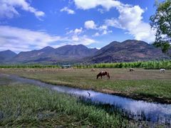 -葛记焖饼(伏牛路店)