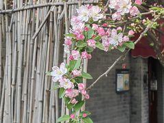 -五道营胡同