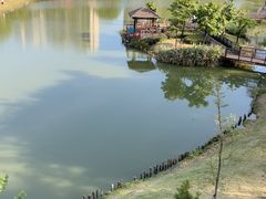 -王借岗森林公园