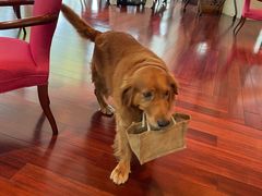 -阳澄湖费尔蒙酒店颐丰阁中餐厅(马鞍山西路店)