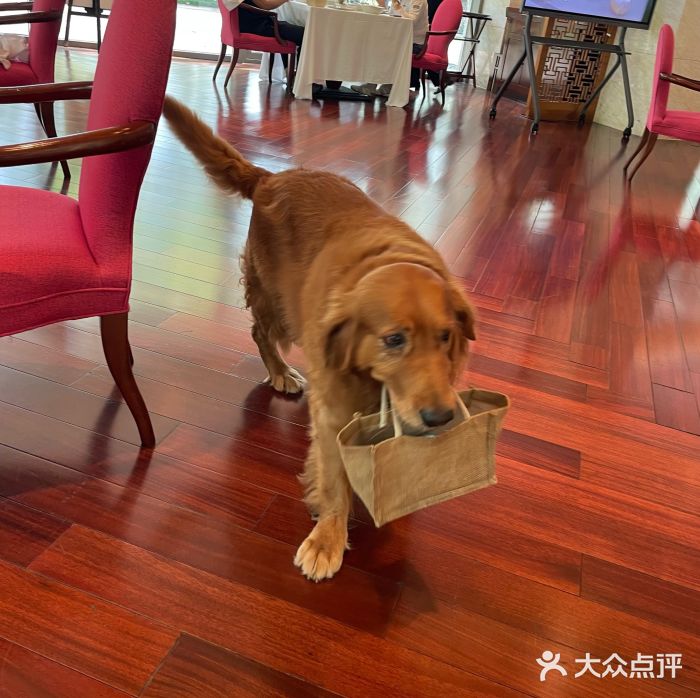 阳澄湖费尔蒙酒店颐丰阁中餐厅(马鞍山西路店)图片