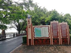 -大湾区中央湿地公园